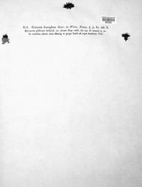 Image Associated With the Occurence